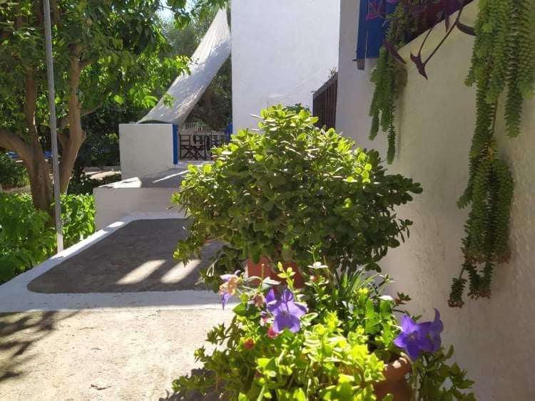 Stamoulis Apartments Kampos Marathokampou Exterior foto