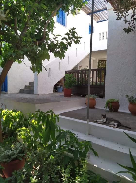 Stamoulis Apartments Kampos Marathokampou Exterior foto